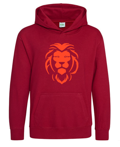 Hooded hoodie kids